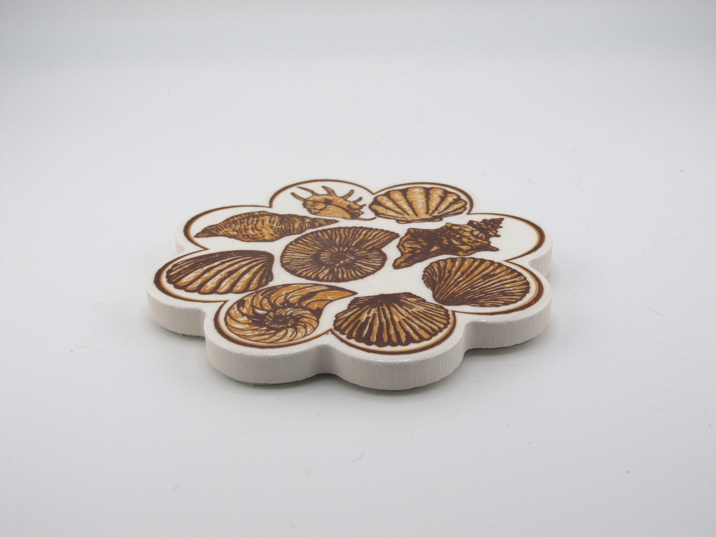 Ceramic Coaster Bunch Triple Seashell Design