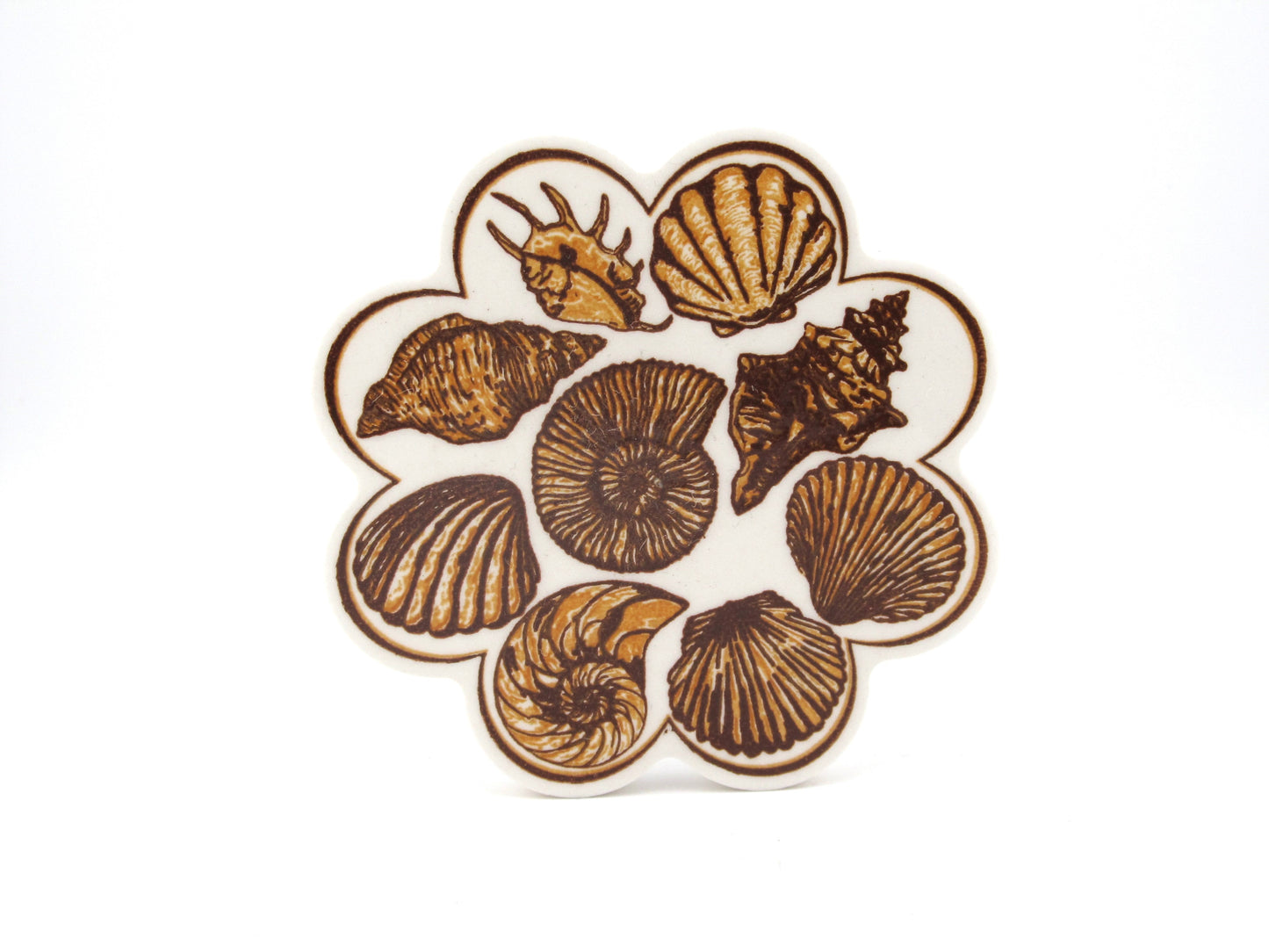 Ceramic Coaster Bunch Triple Seashell Design